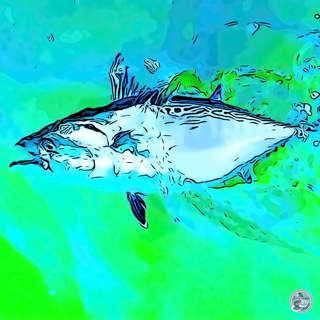 S6, Ep 109: Albie Adventures and Angling Tips: Captain David Blinken's Guide