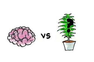 Smarty Plants
