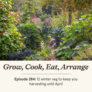 12 winter veg to keep you harvesting until April - Episode 284