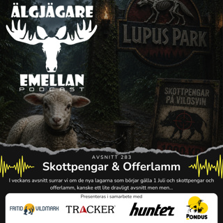 283. Skottpengar & Offerlamm