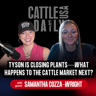 397: Tyson Is Closing Plants—What Happens to the Cattle Market Next? with Samantha Cozza-Wright