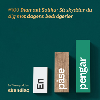 #100 Diamant Salihu: Så skyddar du dig mot dagens bedrägerier
