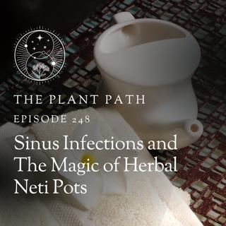Sinusitis and The Magic of the Herbal Neti Pot