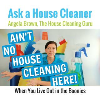 When You Live in the Wrong Place to Clean Houses
