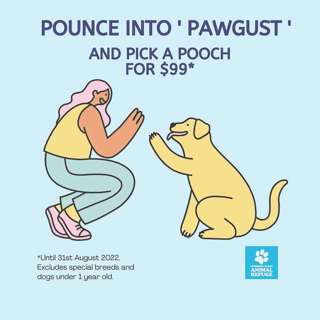 PODCAST: Is it Just Me or are big dogs the best dogs?