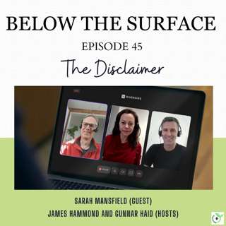 #45 The Disclaimer