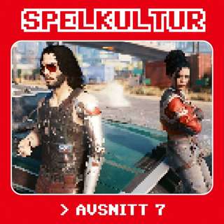 Avsnitt 7