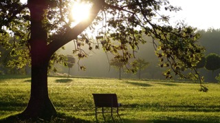 #156 Life After Death- A Journey with Grief. What Has Helped, What Hasn't.