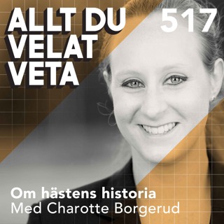 Allt du velat veta