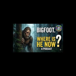 Why We Stopped Finding Bigfoot (And Where He Went)