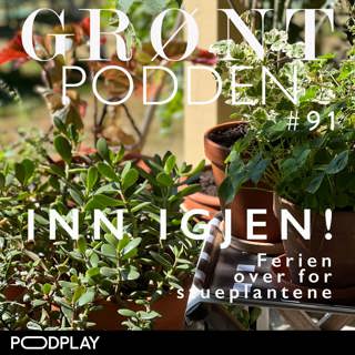 #91 Inn igjen! Sommerferien over for stueplantene!