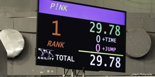 284: How to Get a Perfect 1600 on Your Next Agility Run