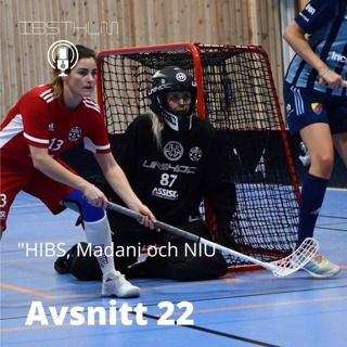 HIBS, Madani och NIU