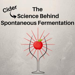 372: The Science Behind Spontaneous Fermentation