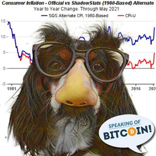 SOB: How and Why Governments Lie About Inflation