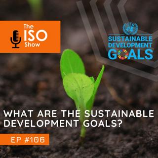 #106 What are the Sustainable Development Goals? - Part 1