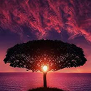 One Day at a Time - A Modern Woman's Story