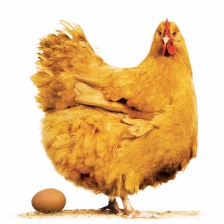 #37 Chicken Dinner