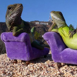 We're Taking A Summer Break!