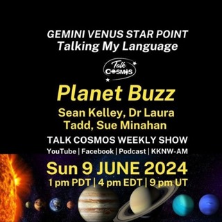 Planet Buzz - Gemini Venus Star Point – Talking My Language