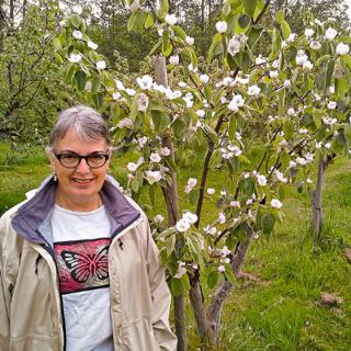 327: Variety Tips from the Quince Queen