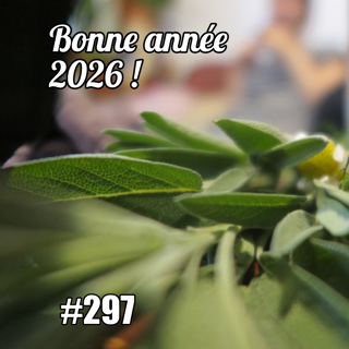 Bonne année 2026