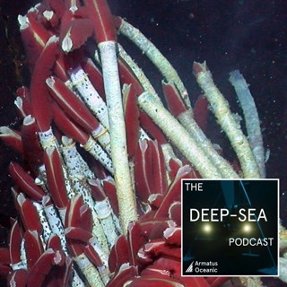 031 - Hydrothermal vents with Charles ”Chuck” Fisher