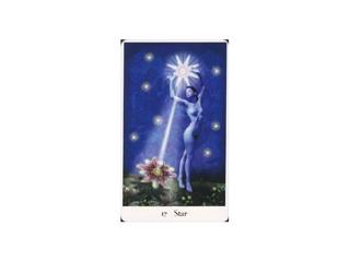 Titillating Tarot With Jason Livanis