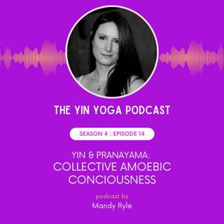 Yin & Pranayama: Collective Amoebic Consciousness