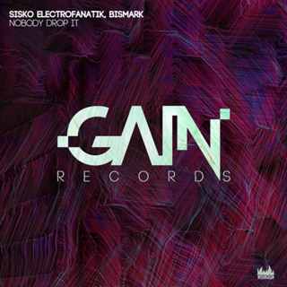 Bismark & Sisko Electrofanatik - Nobody Drops It (Radio Edit)