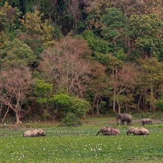 आराम करें और पाचन क्रिया को बेहतर बनाएं ©2024Relax and Digest