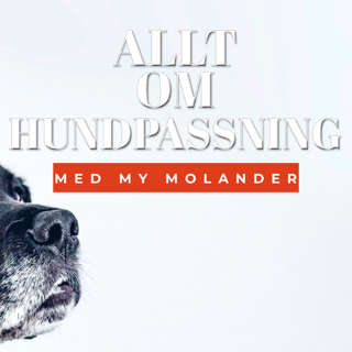 Allt om hundpassning - Med My Molander