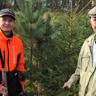 Vem vill försäkra din egendom i det nya klimatet?