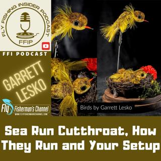 Sea Run Cutthroat, How They Run and Your Setup