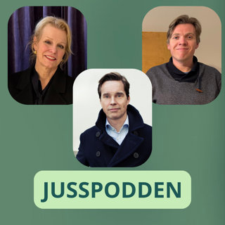 §294 Førdefjord-dommen: alle skal følge Høyesterett – bortsett fra staten?