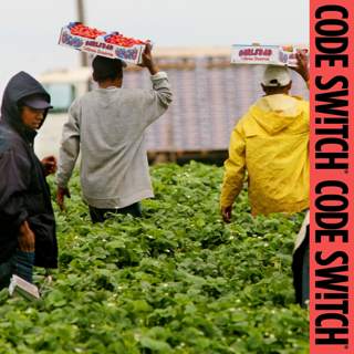 How farm work became the exception to Trump's border crackdown