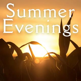 Summer Evenings - Gentle and Peaceful Sleep Music