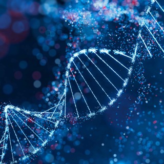 What happens when the company that owns your DNA goes bust?