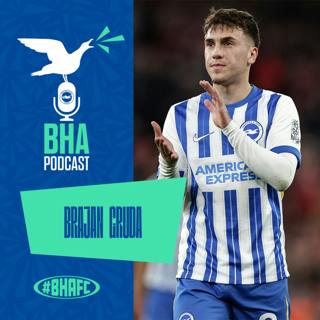 Ready to shine with Brajan Gruda