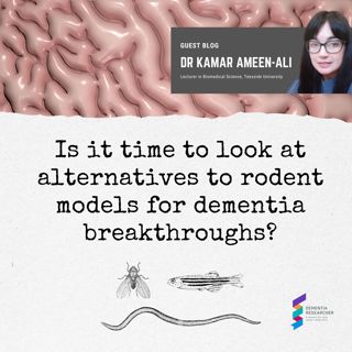 Dr Kamar Ameen-Ali - Is it time to look at alternatives to rodent models for dementia breakthroughs?