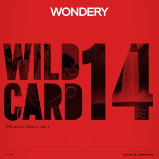 Armchair Anonymous: Wild Card XIV