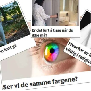 Spør en forsker-spesial!