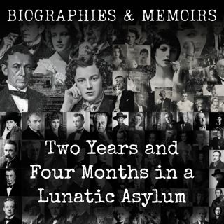 Two Years and Four Months in a Lunatic Asylum