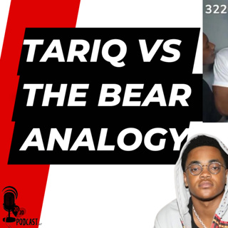 Tariq vs The Bear Analogy