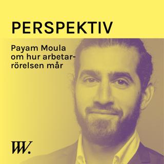 67. Hur mår arbetarrörelsen, Payam Moula?