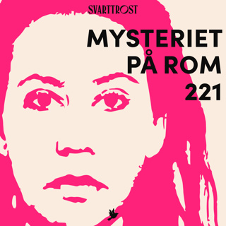 Mysteriet på rom 221 (1:7) Kvinnen på rommet