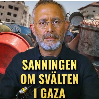 Morgan Johansson och massmedia ljuger om svälten i gaza