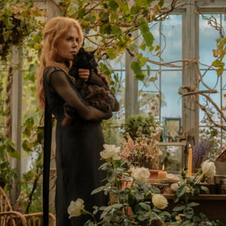 The Summer in review! Breaking records, YTD performance, and pre-sales for Practical Magic 2