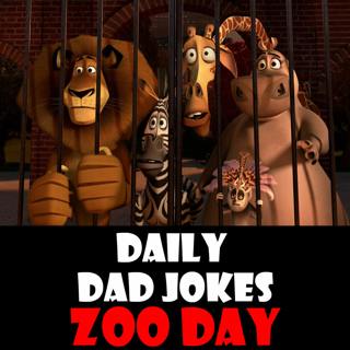 Zoo Day! Dad Jokes that are keepers! 27 December 2024