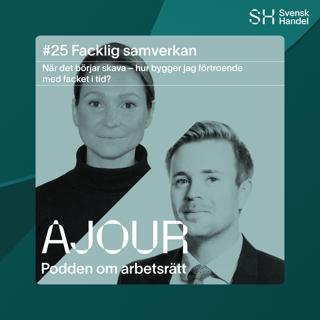 #25. När det börjar skava – hur bygger jag förtroende med facket i tid?